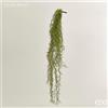 EDG Enzo De Gasperi Tillandsia West Cadente H 75 Cm Pianta Artificiale Verde Salvia