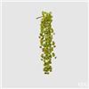 EDG Enzo De Gasperi Echeveria Olis Cespuglio Cadente H 44 Cm Pianta Artificiale Verde