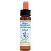 NATUR Srl WHITE CHEST ESS 10ML INGL HERB