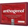 LA STREGA Srl MASQUELIERS ANTHOGENOL 30 Capsule