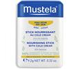 Mustela Hydra Stick Cold Cream Balsamo Viso Protezione Labbra e Zigomi 9.2gr