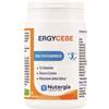 Laboratori Nutergia Laboratoire Nutergia Ergycebe 90 Capsule