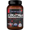 T-Rex Creatina monoidrato ai frutti di bosco - Integratore polvere per prestazioni fisiche, 250 g
