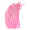 M METERXITY 20-Pack Piume Naturali di Coda di Gallo, 10-12 Pollici / 25-30cm di Lunghezza Piume di Coda di Gallo per Creazioni/Matrimoni/Acchiappasogni/Decorazioni Fai da Te [Rosa]