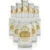 Fentimans Premium Indian Tonic Water Cassa da 24 bottiglie x 20cl - Bibite