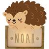 WONDEE Lampada Personalizzata Con Nome - Luce Notturna Bambini Riccio, Regalo Neonato Maschio e Femmina, Regalo Battesimo Bambina e Bimbo, Regali Personalizzati Bambino e Bimba (include cavo USB C)