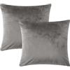 AMEHA Confezione da 2 Federe in Velluto 45x45cm Fodere per Cuscini Decorativi Morbidi Copricuscini Divano di Lusso per Soggiorno Camera da Letto (Grigio)