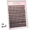DIWINSH Estensioni Individuali Ciglia 10-16 mm Volume Cluster Fai da te a Casa (MB - 168 pcs)