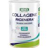 Why nature Collagene rigenera 330 grammi Why Nature