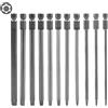CPROSP Torx Lunghe Set 100mm, Torx Lunghe Magnetiche, per Smontare e Riparare Elettrodomestici, T6 T7 T8 T9 T10 T15 T20 T25 T27 T30 T40, Lega D'acciaio S2