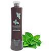 ROIAL OLIO VEGETALE DA MASSAGGIO al MENTOLO ROIAL ROYAL 500 ML