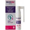 ERBAGIL SRL Vulvovagi Spray Per Vulvovaginiti E Secchezza Vaginale 20 Ml