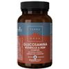 FORLIVE SRL Terranova Complesso Di Glucosamina Boswellia E Msm 50 Capsule