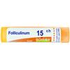 BOIRON SRL Folliculinum 15ch Granuli 4g