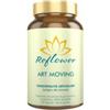VITA AL TOP SRL Reflower Art Moving 60 Capsule