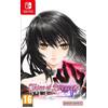 Namco Bandai SWITCH Tales of Berseria Remastered
