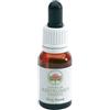Green Remedies Dog Rose Bush Flower 15 Ml