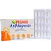 Schwabe Pharma Italia Aximagnesio 40cpr