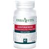 Erba Vita Group Eleuterococco 60capsule