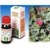 Specchiasol Cardo Mariano 6 50ml Tm