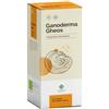 Gheos Srl Gheos Ganoderma Integratore Per Il Normale Funzionamento Del Sistema Immunitario 90 Capsule