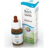 Guna Walnut Fiori Di Bach 10ml