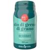 Erba Vita Group Olio Di Germe Di Grano Integratore Ad Azione Antiossidante 90 Perle