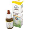 Guna Chestnut Bud Fiori Di Back 10ml