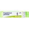 Eupatorium P BOI BOIRON® Eupatorium Perfoliatum Granuli 5 Ch Contenitore Multidose 4 g