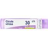 Cicuta Virosa*30Ch 80Gr 4G 4 g Granuli