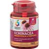 Echinacea Optima Naturals Colours Of Life Echinacea 60 Capsule Vegetali 500 Mg pz