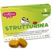 BUONA SpA SOCIETA' BENEFIT STRUTTURINA 30CPR