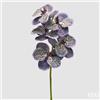 EDG Enzo De Gasperi Orchidea Vanda Ramo H 65 Cm Pianta Artificiale Mix Viola