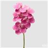 EDG Enzo De Gasperi Orchidea Vanda Ramo H 65 Cm Pianta Artificiale Fuchsia