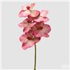 EDG Enzo De Gasperi Orchidea Vanda Ramo H 65 Cm Pianta Artificiale Rosa