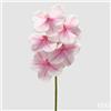 EDG Enzo De Gasperi Orchidea Vanda Ramo H 65 Cm Pianta Artificiale Bianco Rosa