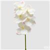 EDG Enzo De Gasperi Orchidea Vanda Ramo H 65 Cm Pianta Artificiale Avorio