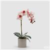 EDG Enzo De Gasperi Orchidea Phalaenopsis con Foglie e Vaso H 47 Cm Pianta Artificiale Bianco Rosa