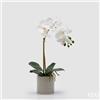 EDG Enzo De Gasperi Orchidea Phalaenopsis con Foglie e Vaso H 47 Cm Pianta Artificiale Bianco