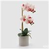 EDG Enzo De Gasperi Orchidea Phalaenopsis x2 con Foglie e Vaso H 51 Cm Pianta Artificiale Bianco Rosa