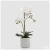 EDG Enzo De Gasperi Orchidea Phalaenopsis x3 con Foglie e Vaso H 56 Cm Pianta Artificiale Bianco
