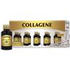 GIORGINI SER-VIS SRL COLLAGENE LIQUIDO ANALCOLICO 10 FLACONCINI X 50 ML