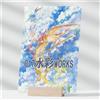 Nessuna marca Doujinshi Pokemon Acquerello Art Book di Pigeon Express Art Book 2022 B4