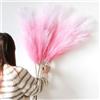 YIYA Decorazione Pampas Secca Grande 6 Pcs 113cm Rosa - Erba Simulata Artificiale per Soggiorno, Casa, Pavimento, Vaso, Decorazione Boemia