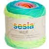 Kalapanta Gomitolo Cotone Biologico 100%, 450 m, 125 g, Filato Multicolore Sesia linea Iride (Fantasia - 4629, 1)
