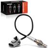Frankberg Sonda lambda sonda di controllo 2269064U06 | Compatibile con: Serena C23, 200 SX S13, Primera Traveller WP11, Primera P11, 100 NX B13, Primera Traveller W10