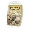 Jurassic Jacks Collezione Fossili Preistorici