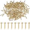 M METERXITY 200 Pcs Piccoli Chiodini, 1.2mm x 10mm Chiodi Di Precisione In Ottone Testa Tonda Per Legno/DIY Artigianato Decorativo/Accessori Casa/Appendi Quadri
