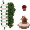 Penitue Set di Decorazioni per Habitat di Ragni Saltatori, Nascondiglio in Legno Ponte Arrampicata e Vaso Fiori Divertenti Accessori Recinti per Ragni Domestici Che Si Arrampicano e Si Nascondono