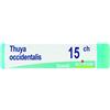 BOIRON Thuya occ 15ch gl 1g - 800027207 - igiene-e-salute/rimedi-omeopatici/globuli-e-granuli